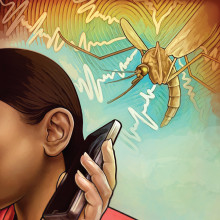 Mobile phones can identify mosquitoes by the sounds of their wingbeats