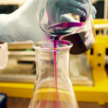 A gloved scientist pours purple liquid from a beaker into a conical flask.
