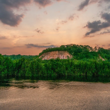 View of amazon forest from river