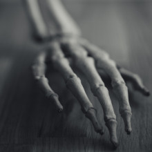 A human skeleton arm and hand