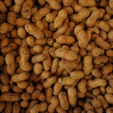 Pile of peanuts