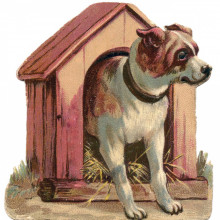 Vintage illustration of a dog coming out of a kennel