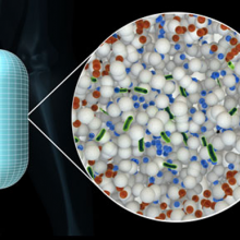 A new technology under development by an academicindustry partnership protects oral bacterial vaccines from destruction by the digestive system.