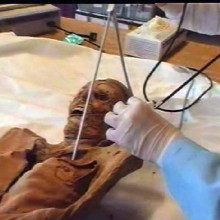 sampling a mummy sampling a mummy