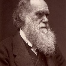 A Woodburytype carte de visite photograph of Charles Darwin, published by John G. Murdoch.