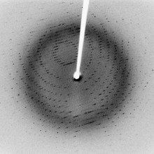 X-ray diffraction pattern of crystallized 3Clpro, a SARS protease. (2.1 Angstrom resolution).