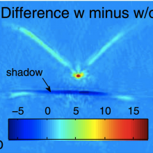 Some bats rely on the detection of acoustic shadows to locate their prey.