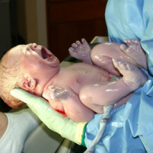 A newborn baby