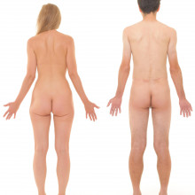 Naked female and male human body, from the back (posterior)