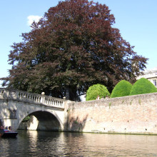 Clare Bridge, Cambridge
