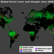  Using Landsat imagery and cloud computing, researchers mapped forest cover worldwide as well as forest loss and gain. Over 12 years, 888,000 square miles (2.3 million square kilometers) of forest were lost, and 309,000 square miles (800,000 square...