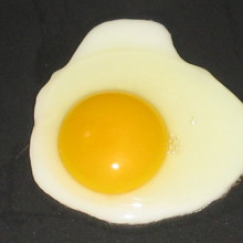 A fried egg, sunny side up.