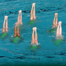 Synchronized swimmers perform a vertical postition.