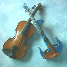 Acoustic and Electric Violins