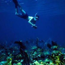 Diver collecting data on a reef