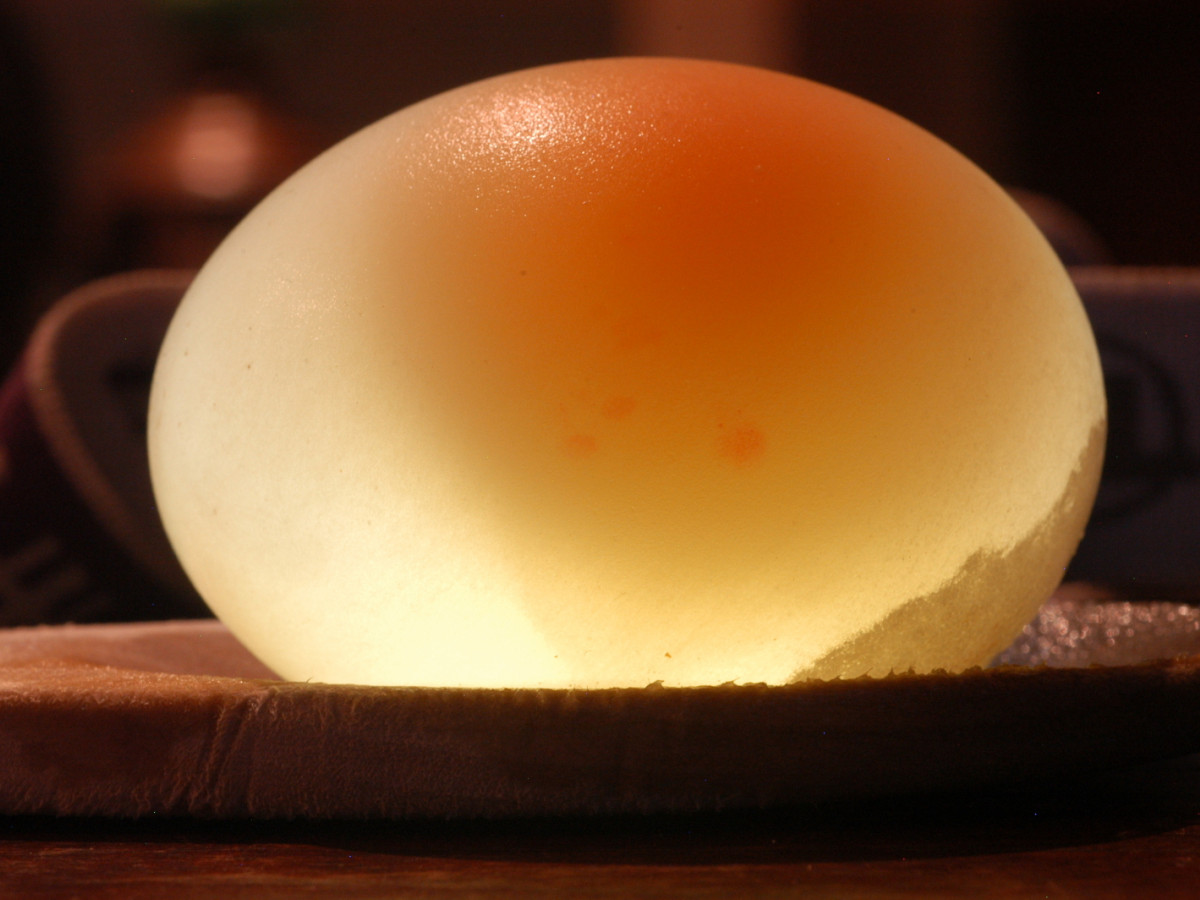 Egg In Vinegar Experiment For Kids | Rubber egg, Egg 
