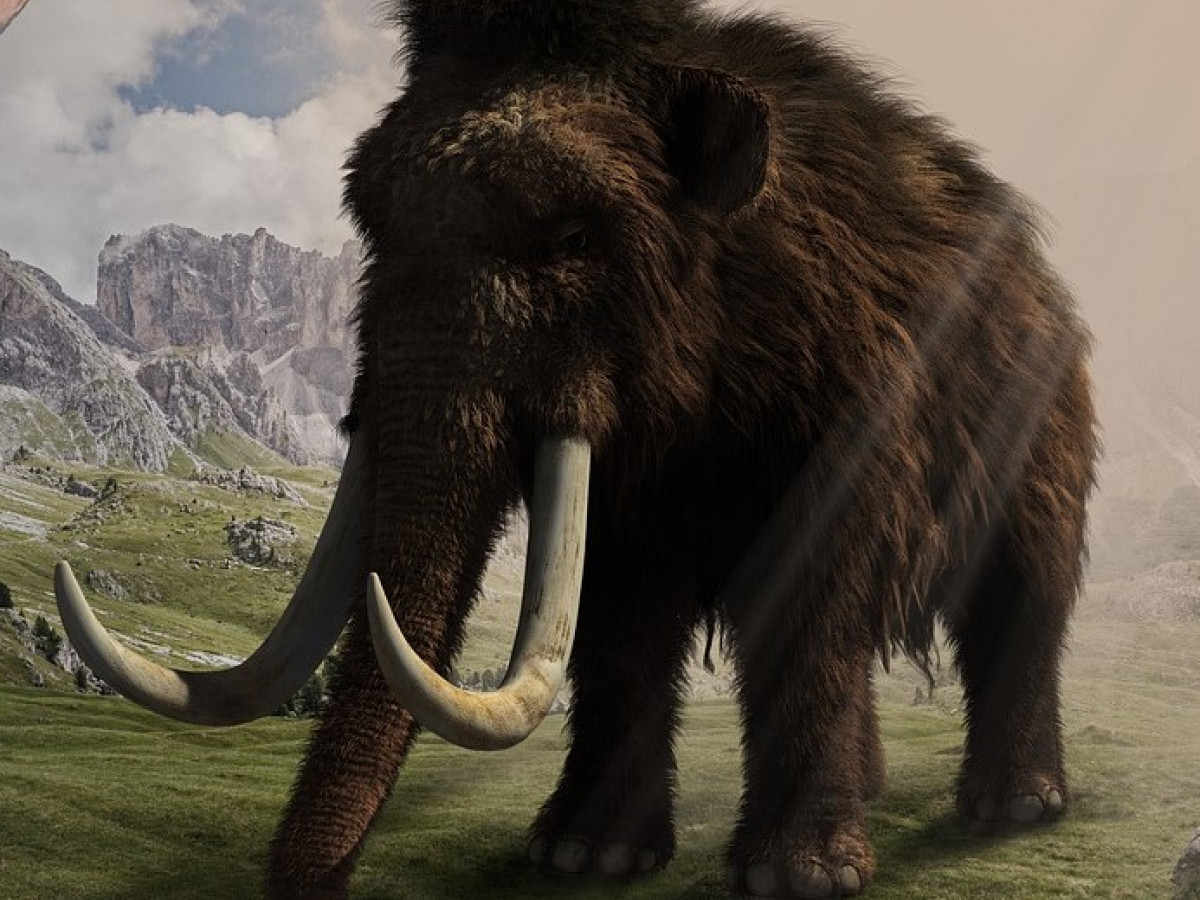 mammoths, mammoth dna, love dalen, oldest dna, mammoth teeth.