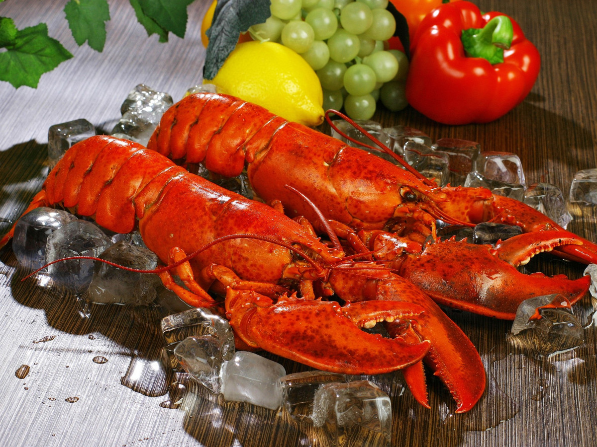 Lobster Death