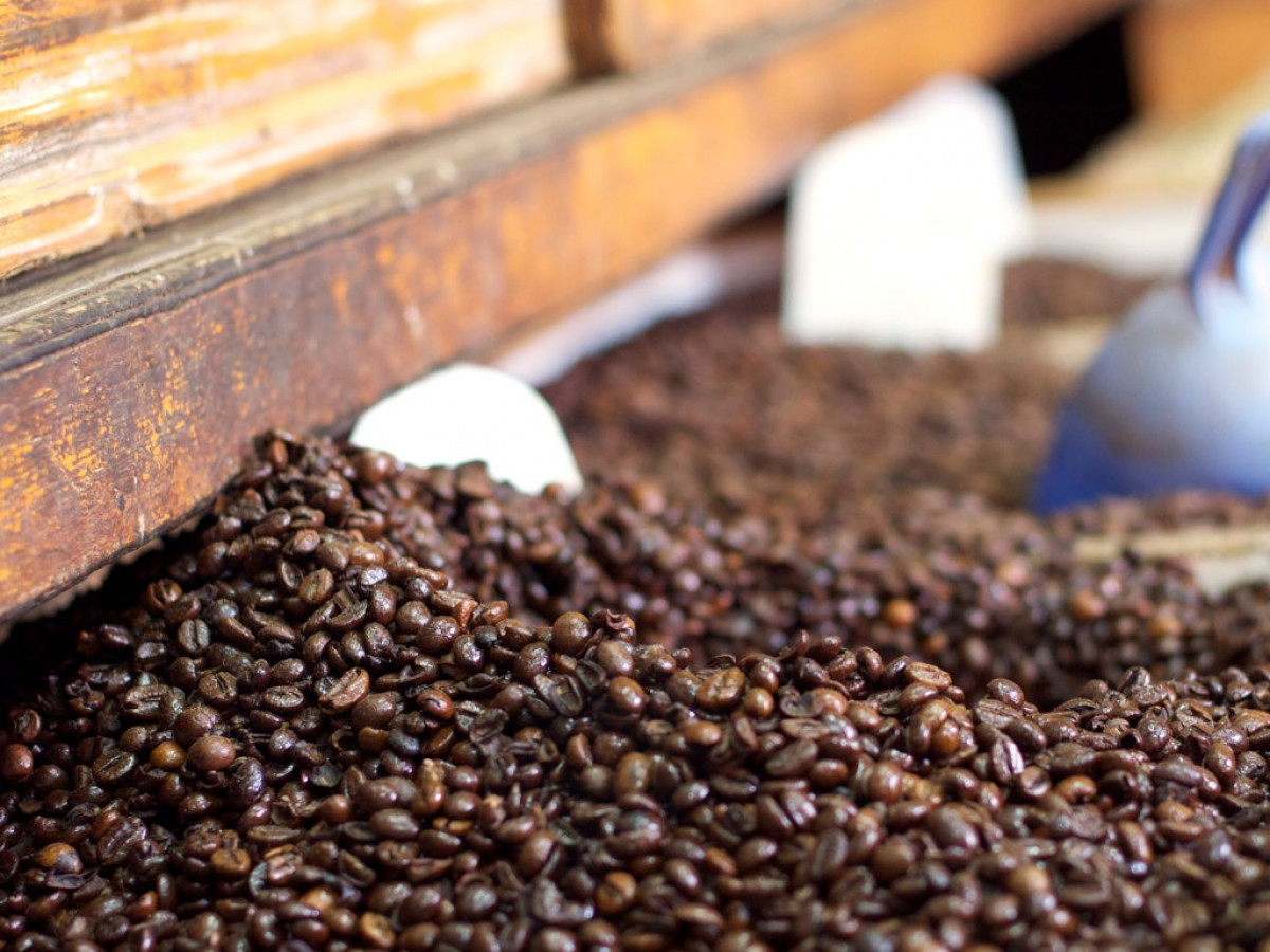 Экспортировать кофе. Coffee Bean 12 кофе. Кофе Африка собираем. African Coffee Cup. Coffee Bean insect.